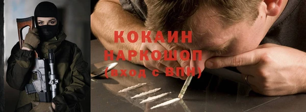 молекула духа Лабытнанги