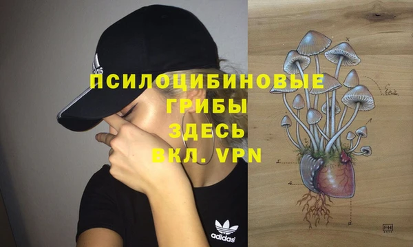 молекула духа Лабытнанги