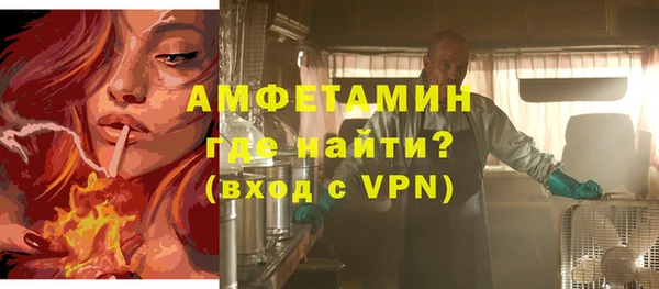 мдпв Ладушкин