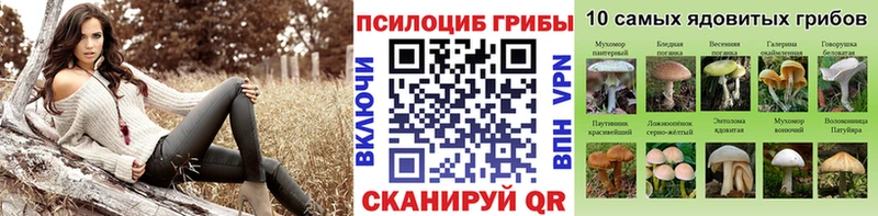 Купить где  Пучеж  Псилоцибиновые грибы Magic Shrooms 